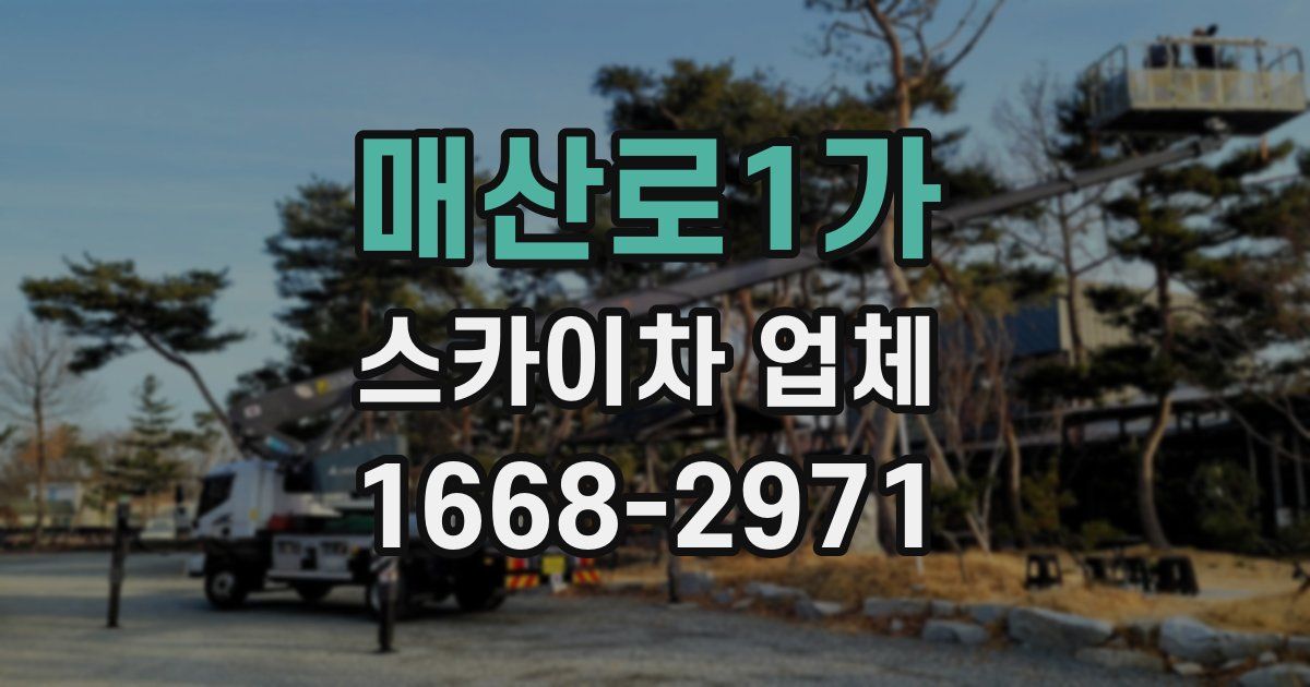 매산로1가 스카이차 업체