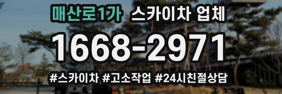 매산로1가 스카이차 업체