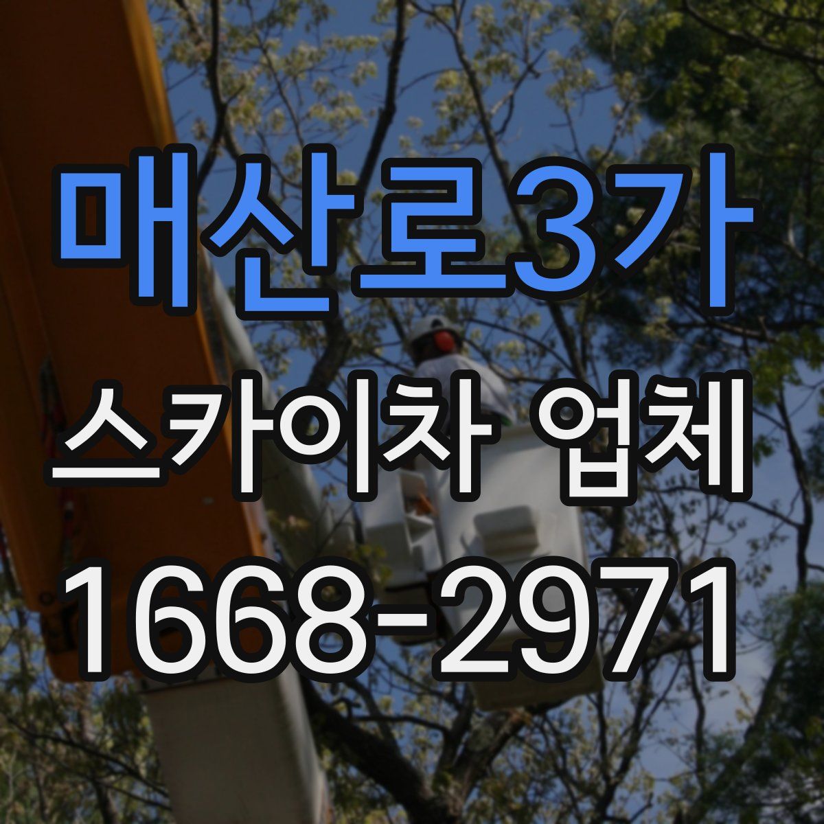 매산로3가 스카이차 업체