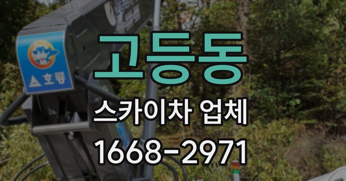 고등동 스카이차 업체
