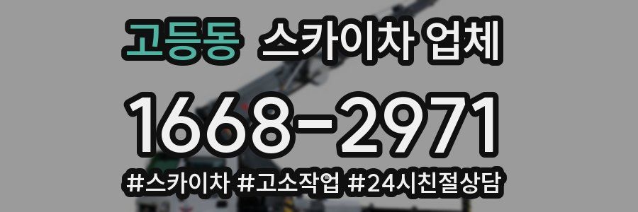 고등동 스카이차 업체
