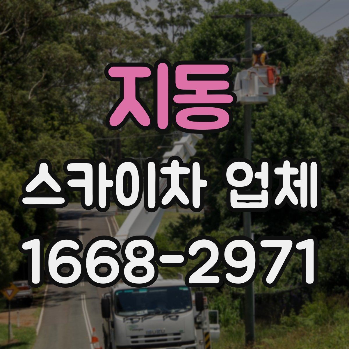 지동 스카이차 업체 가격 문의할 때 확인할 내용