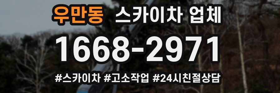 우만동 스카이차 업체