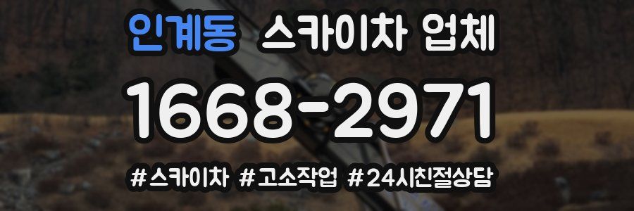 인계동 스카이차 업체