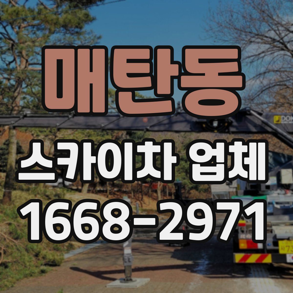 매탄동 스카이차 업체