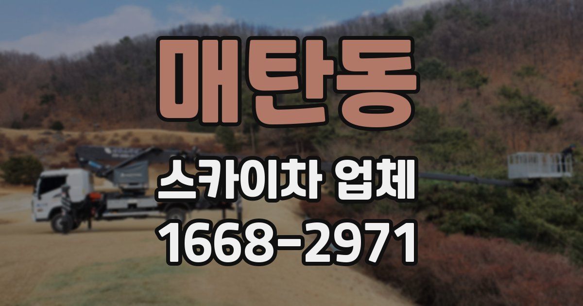 매탄동 스카이차 업체
