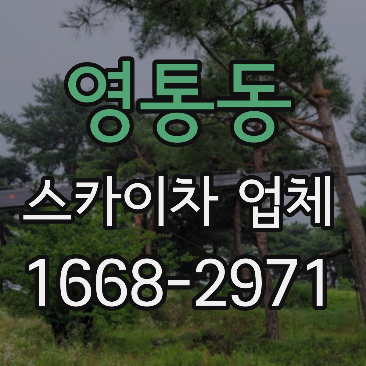 영통동 스카이차 업체