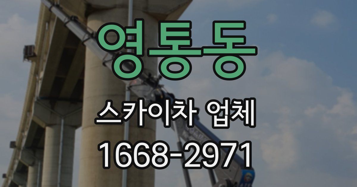 영통동 스카이차 업체