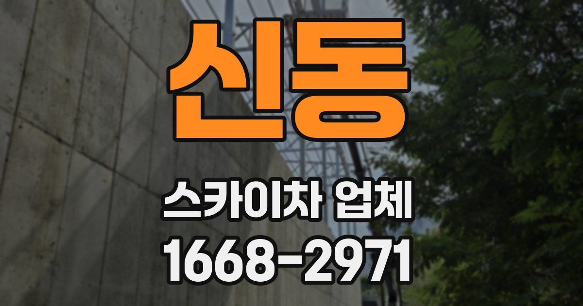 신동 스카이차 업체