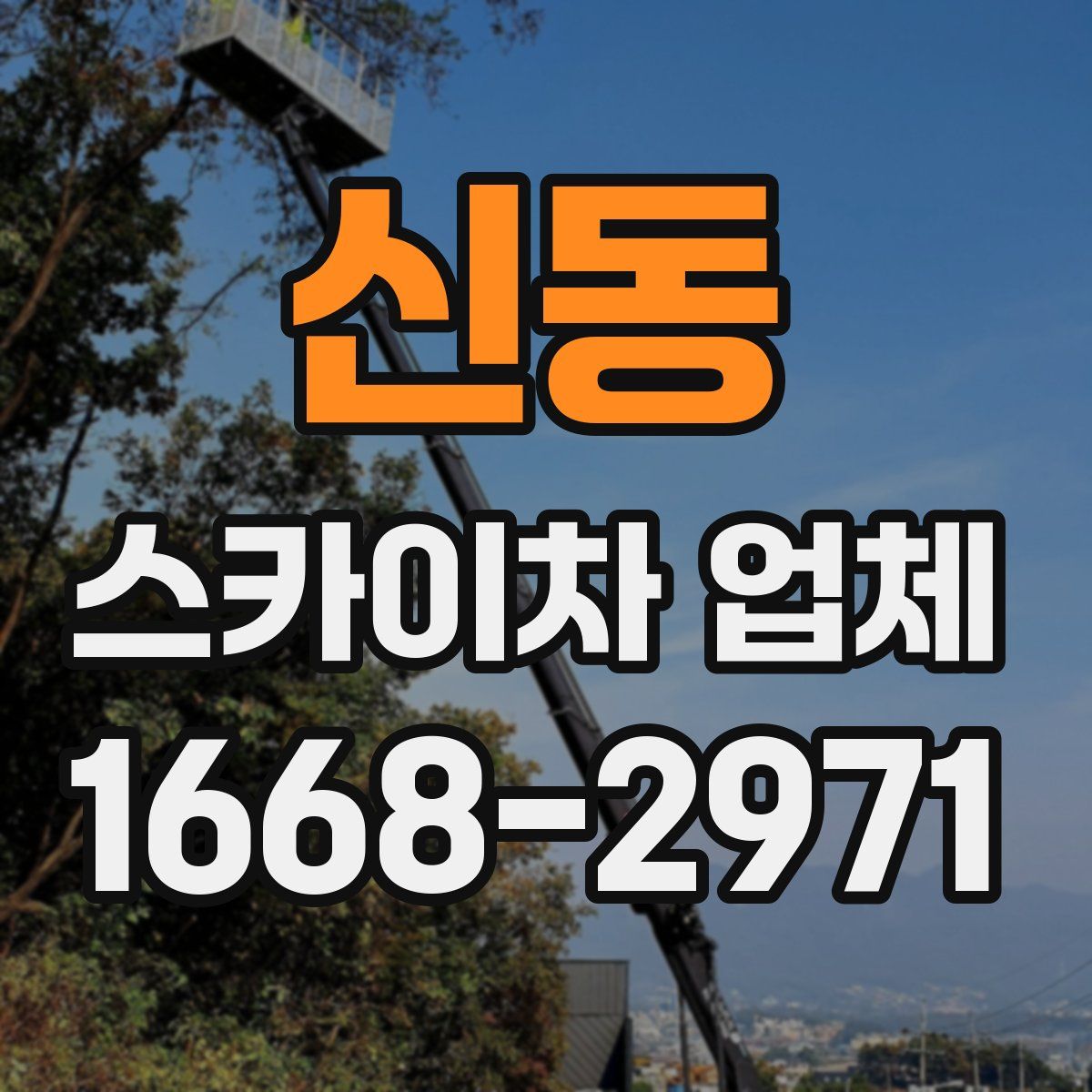 신동 스카이차 업체