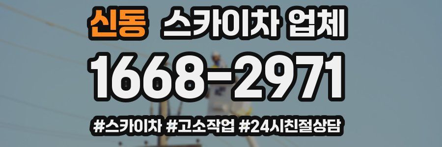 신동 스카이차 업체