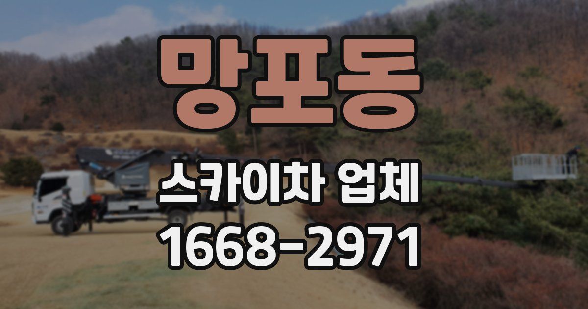 망포동 스카이차 업체