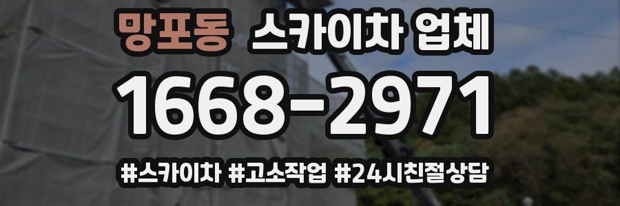 망포동 스카이차 업체