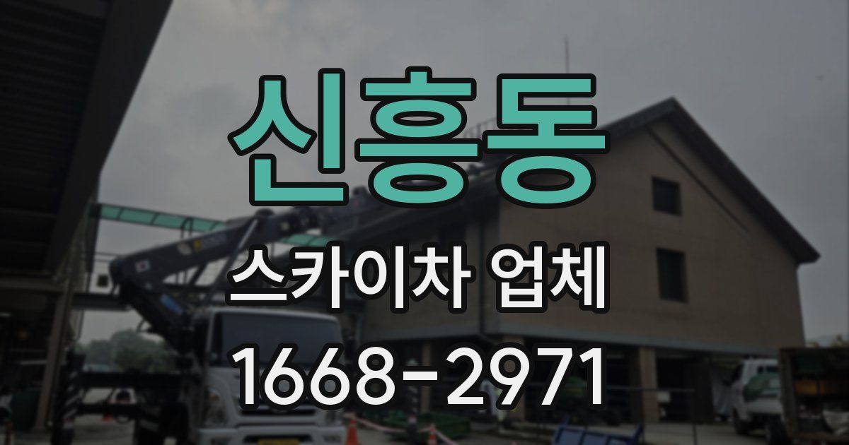 신흥동 스카이차 업체