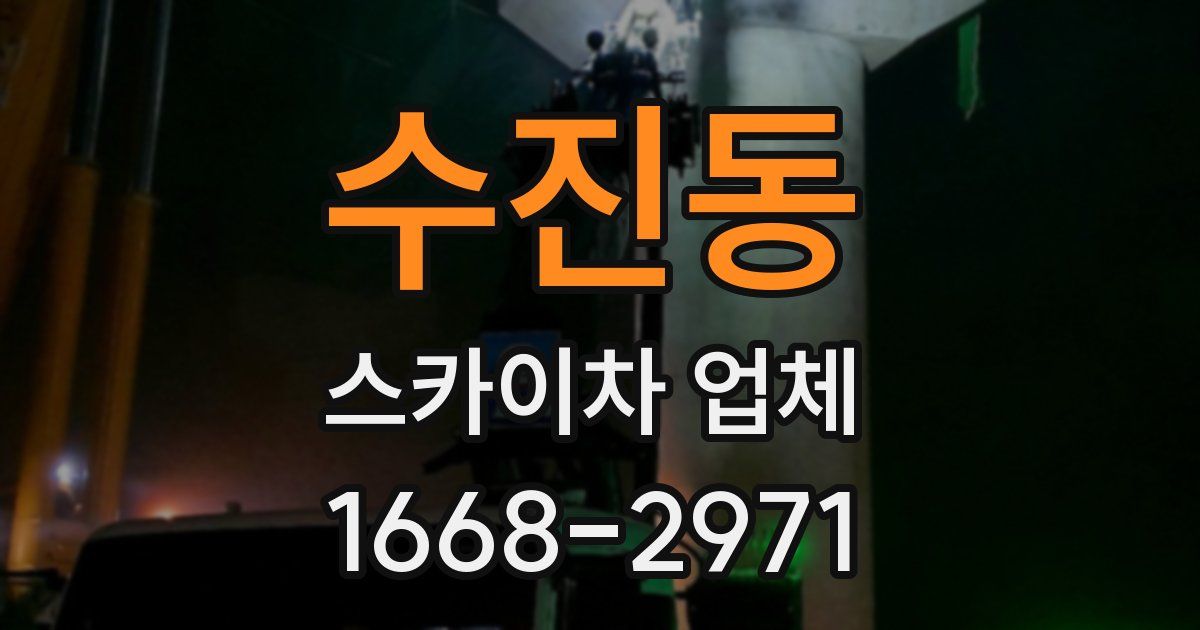 수진동 스카이차 업체