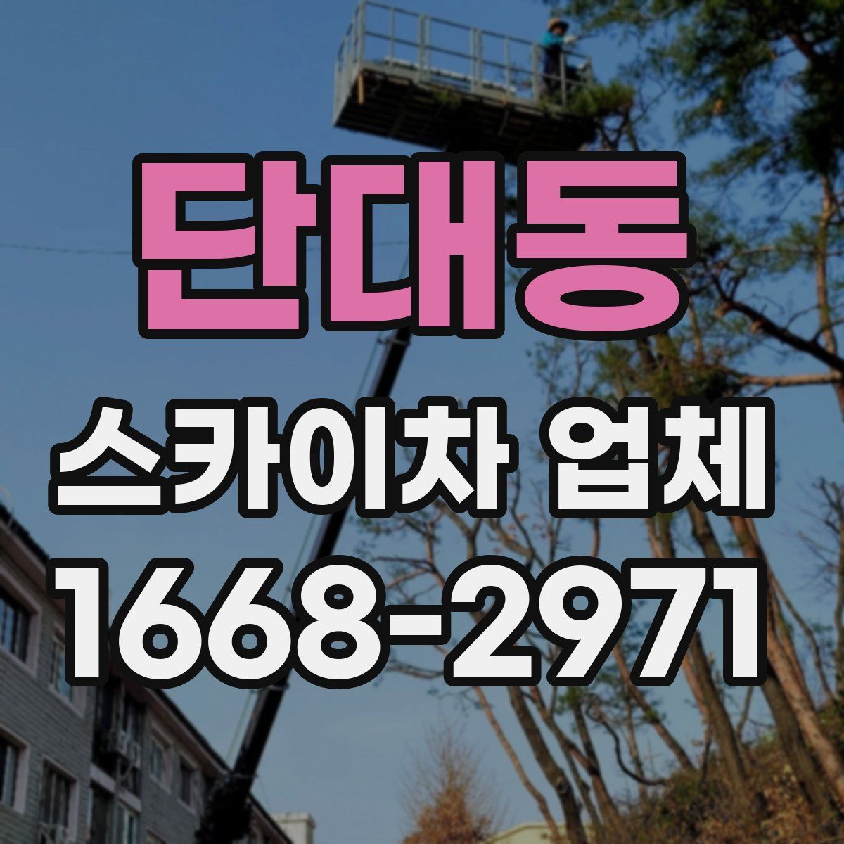 단대동 스카이차 업체