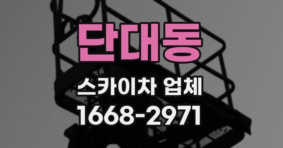 단대동 스카이차 업체