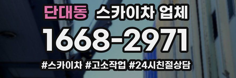 단대동 스카이차 업체