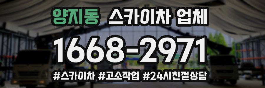 양지동 스카이차 업체