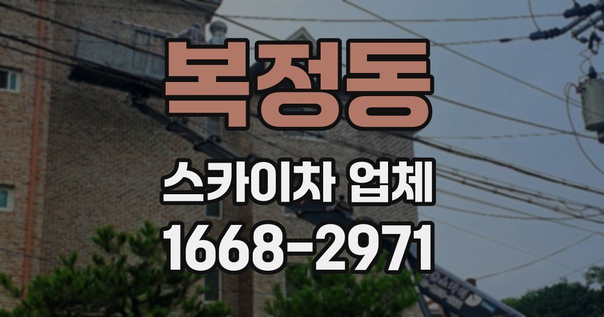 복정동 스카이차 업체