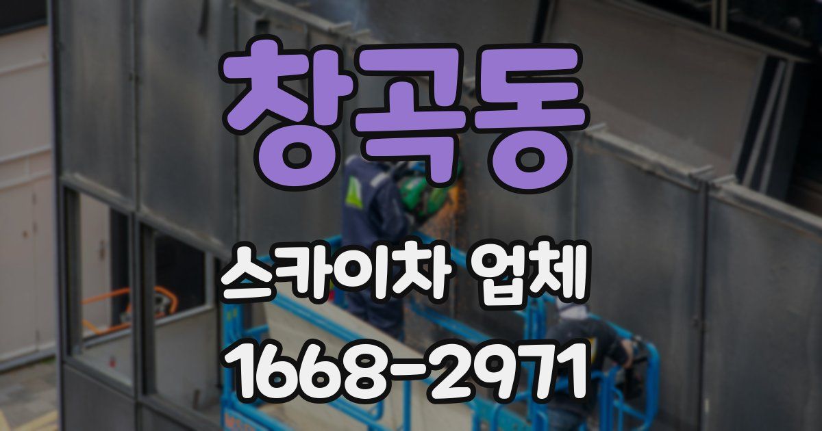 창곡동 스카이차 업체