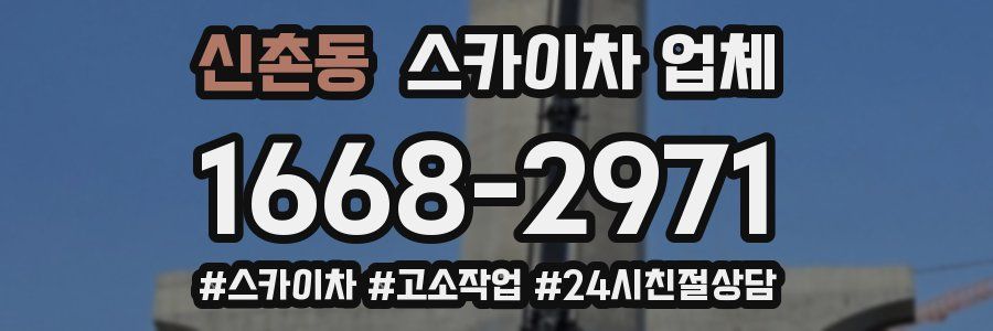 신촌동 스카이차 업체