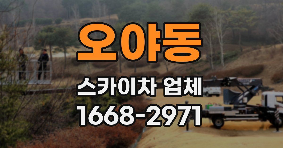 오야동 스카이차 업체