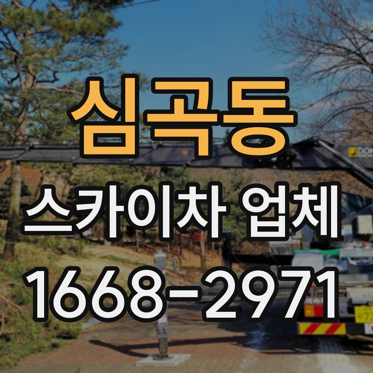 심곡동 스카이차 업체