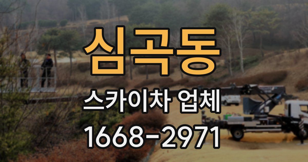 심곡동 스카이차 업체
