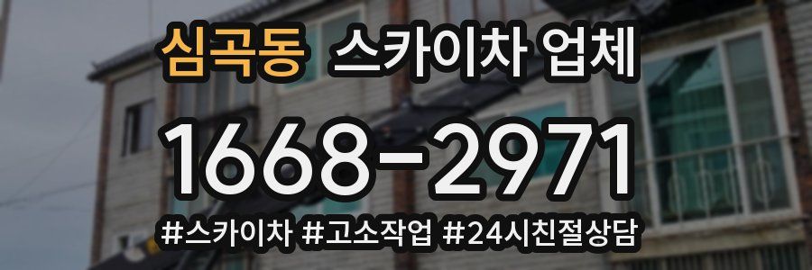 심곡동 스카이차 업체