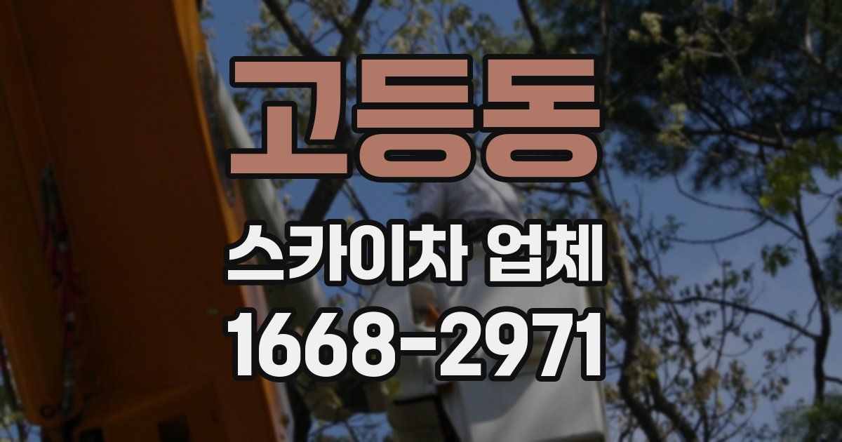 고등동 스카이차 업체