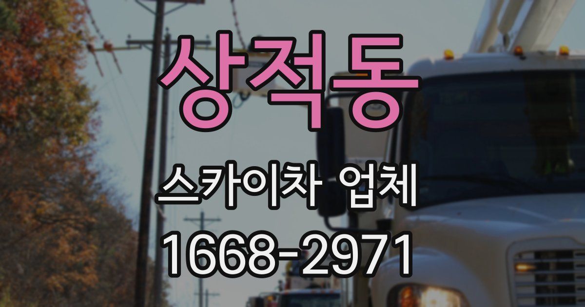 상적동 스카이차 업체