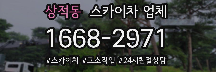 상적동 스카이차 업체