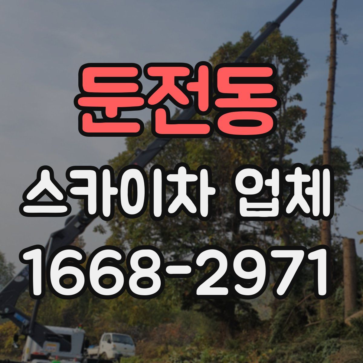 둔전동 스카이차 업체