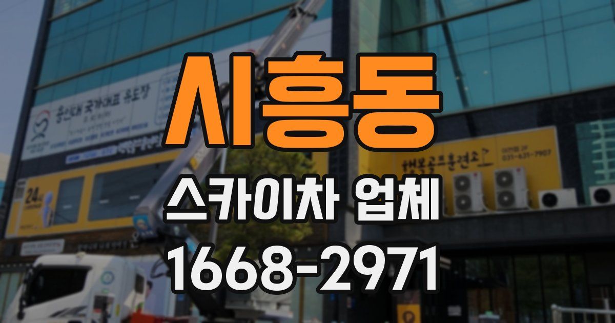 시흥동 스카이차 업체