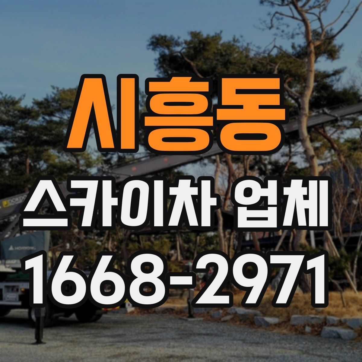 시흥동 스카이차 업체