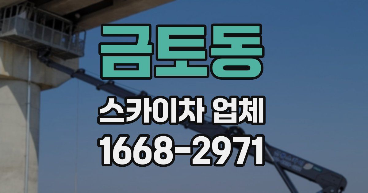 금토동 스카이차 업체