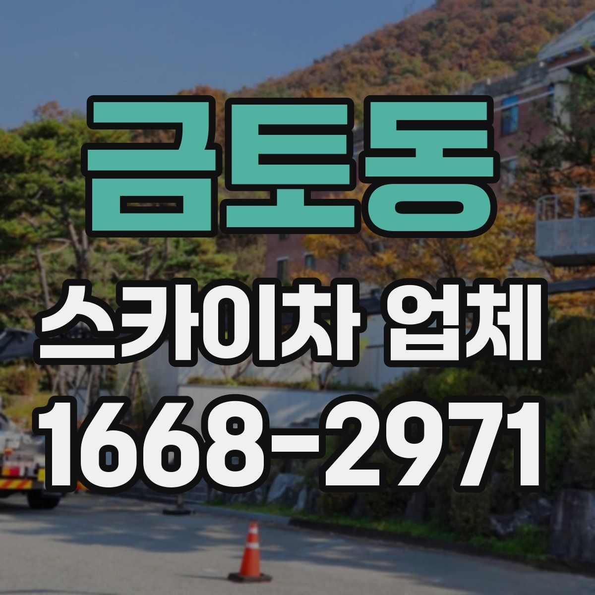 금토동 스카이차 업체