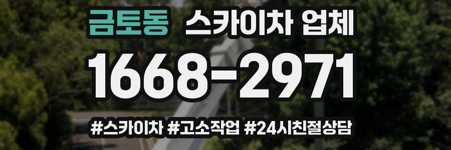 금토동 스카이차 업체