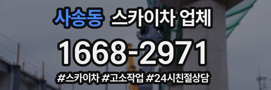 사송동 스카이차 업체