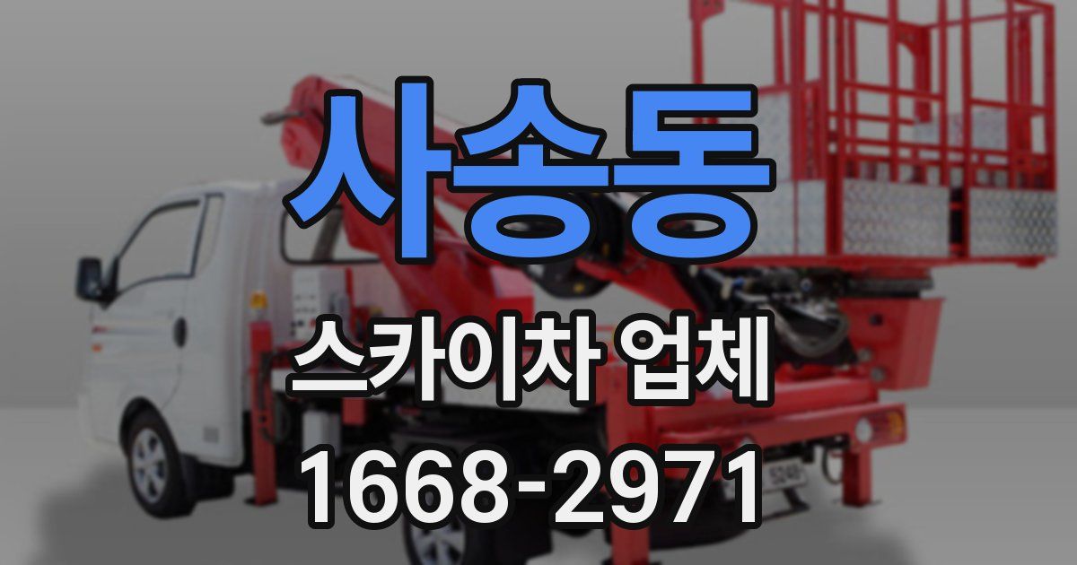 사송동 스카이차 업체