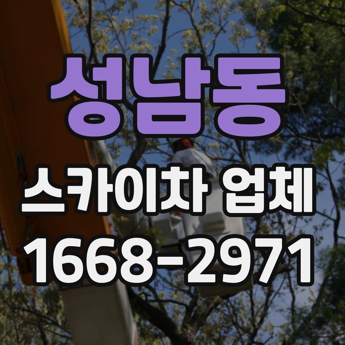 성남동 스카이차 업체