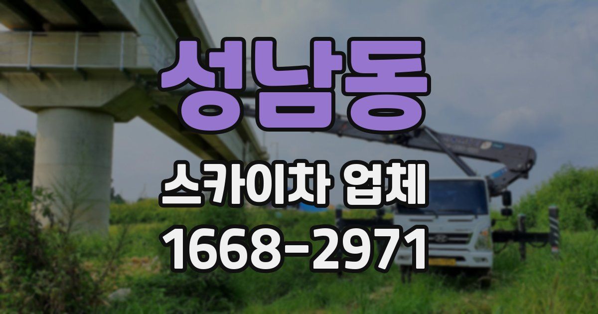 성남동 스카이차 업체