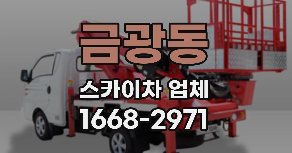 금광동 스카이차 업체