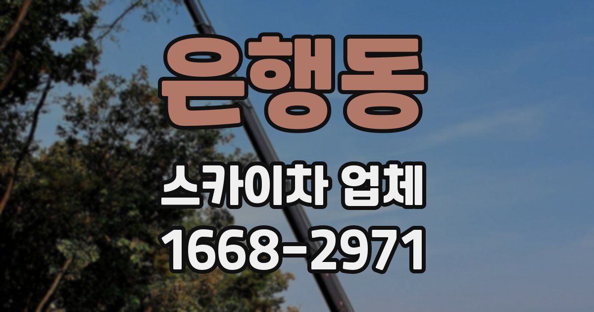 은행동 스카이차 업체