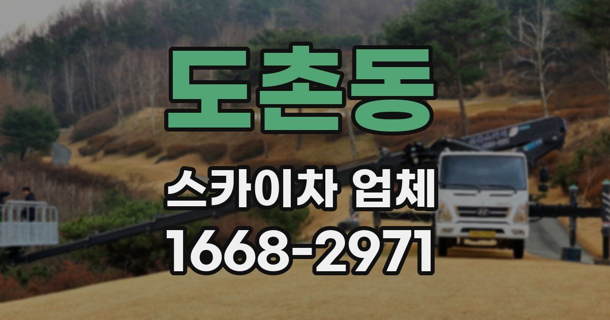 도촌동 스카이차 업체