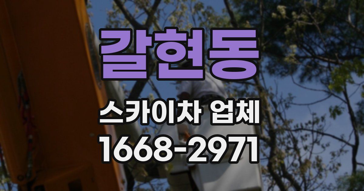 갈현동 스카이차 업체