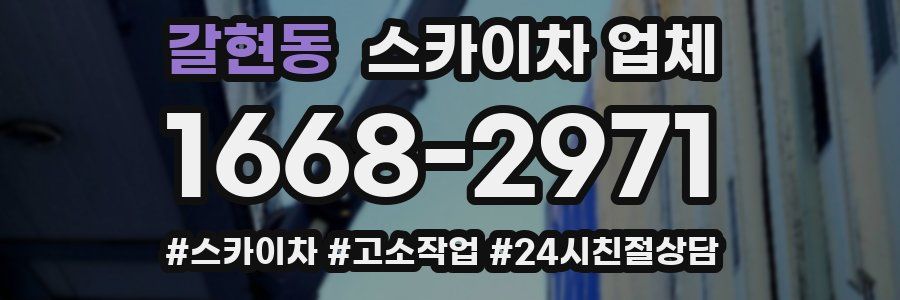 갈현동 스카이차 업체