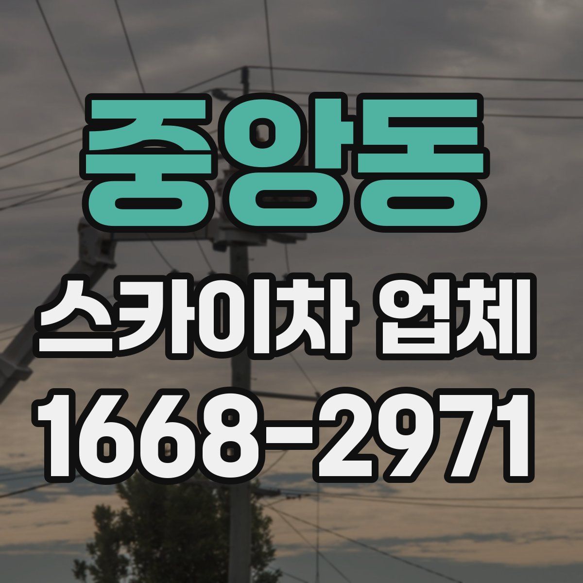 중앙동 스카이차 업체