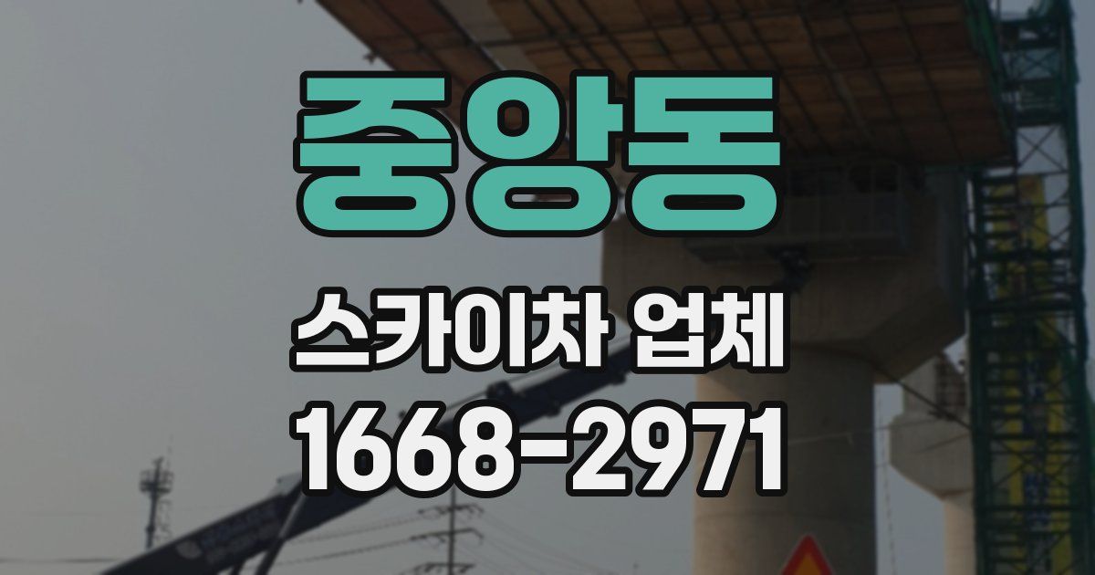 중앙동 스카이차 업체